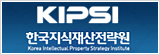 한국지식재산전략원 (KIPSI)
